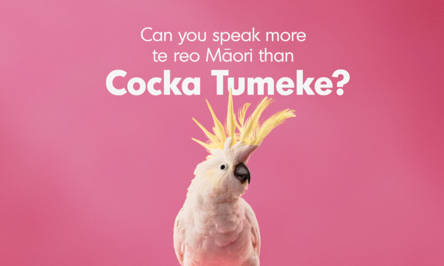 Maori Language Commission CockaTumeke TVC