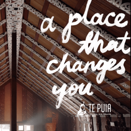 Te Puia A Place That Changes You - Wharenui