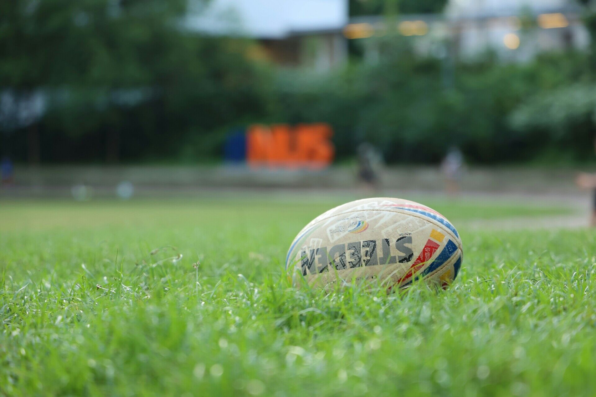 rugby ball on the grass