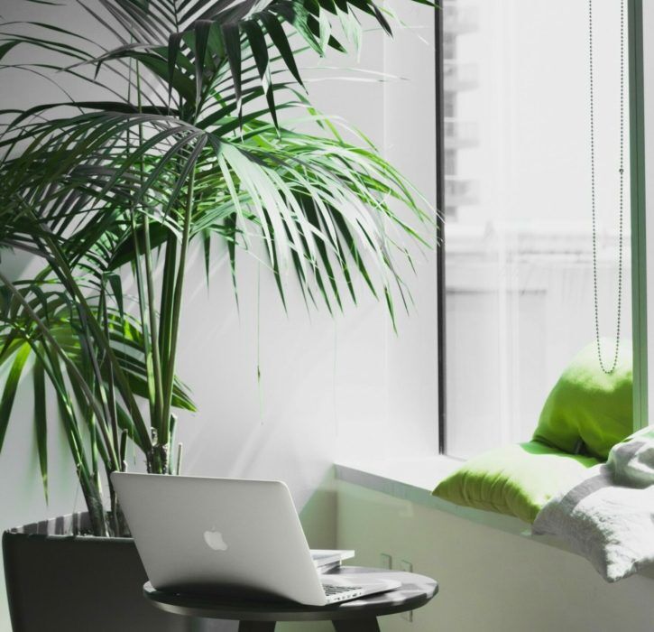 manage your workspace in a covid world  scaled