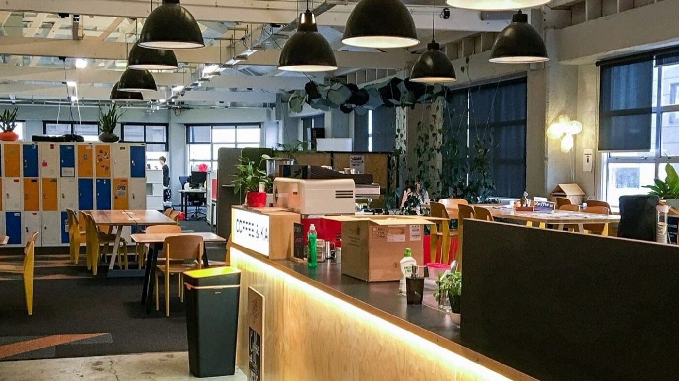 projects bizdojo tory