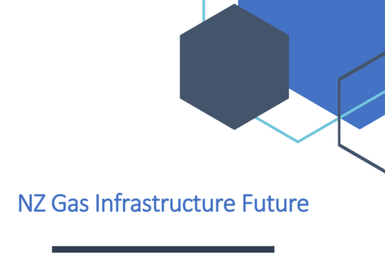 Gas infrastructure report findings