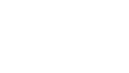 Rebel Sport Logo WHT website