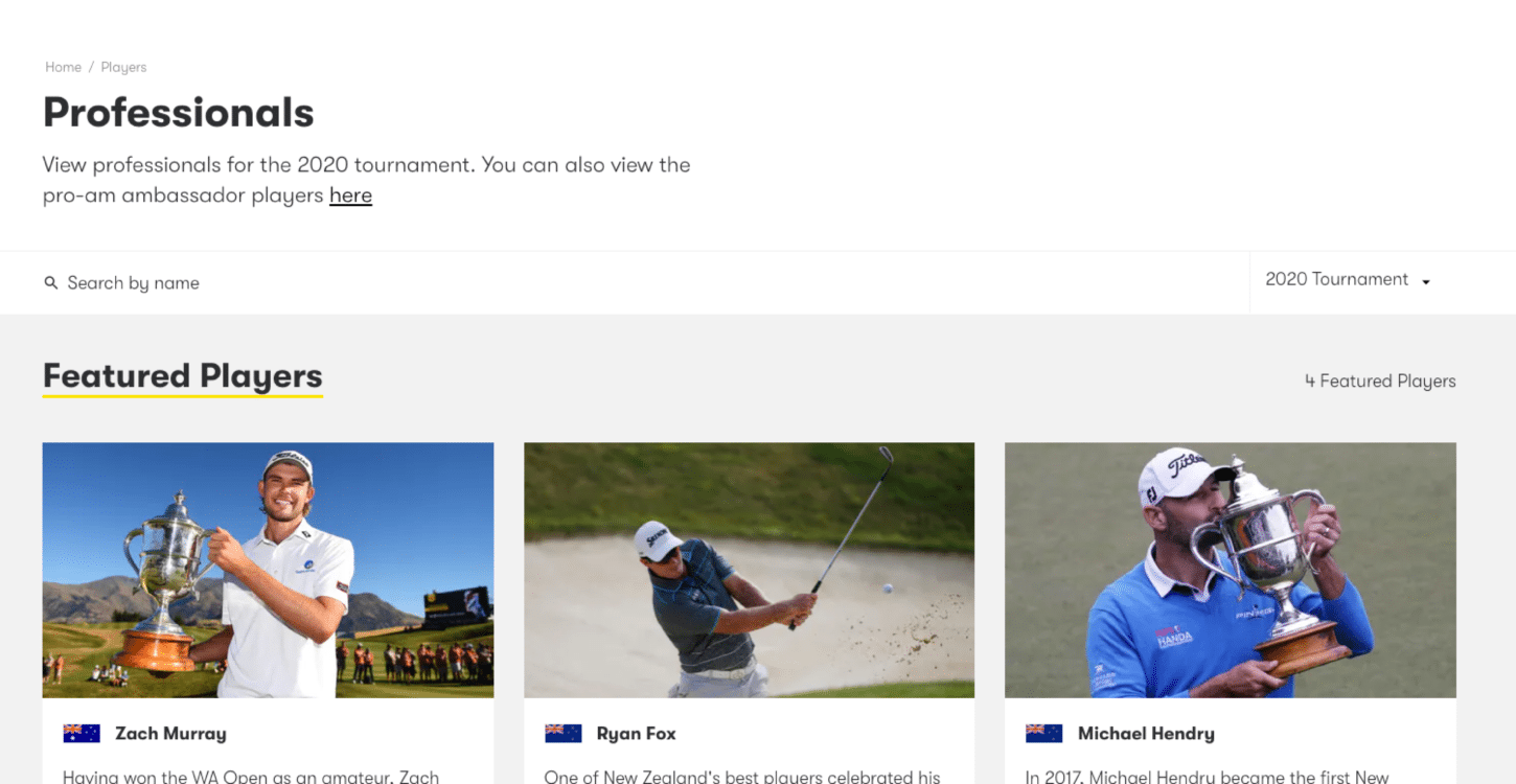 nzopen players professionals