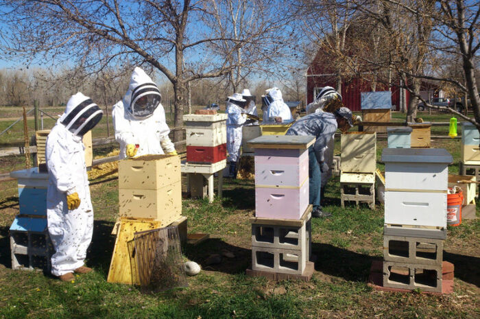 Bee Keeping Residents e